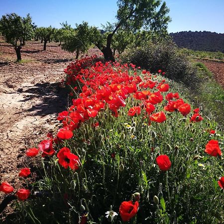 Cortijo Los Soledad El Sauco Eksteriør bilde