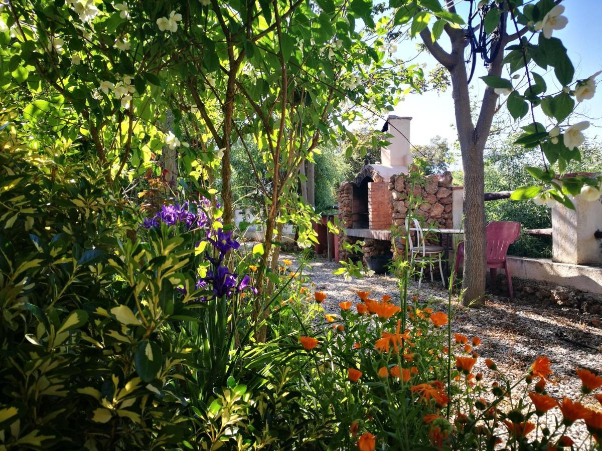 Cortijo Los Soledad El Sauco Eksteriør bilde