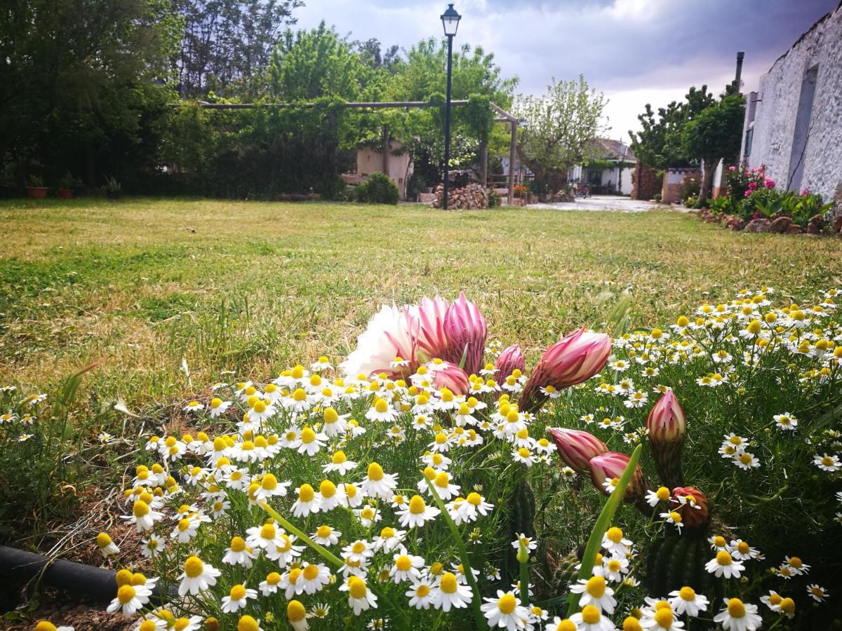 Cortijo Los Soledad El Sauco Eksteriør bilde