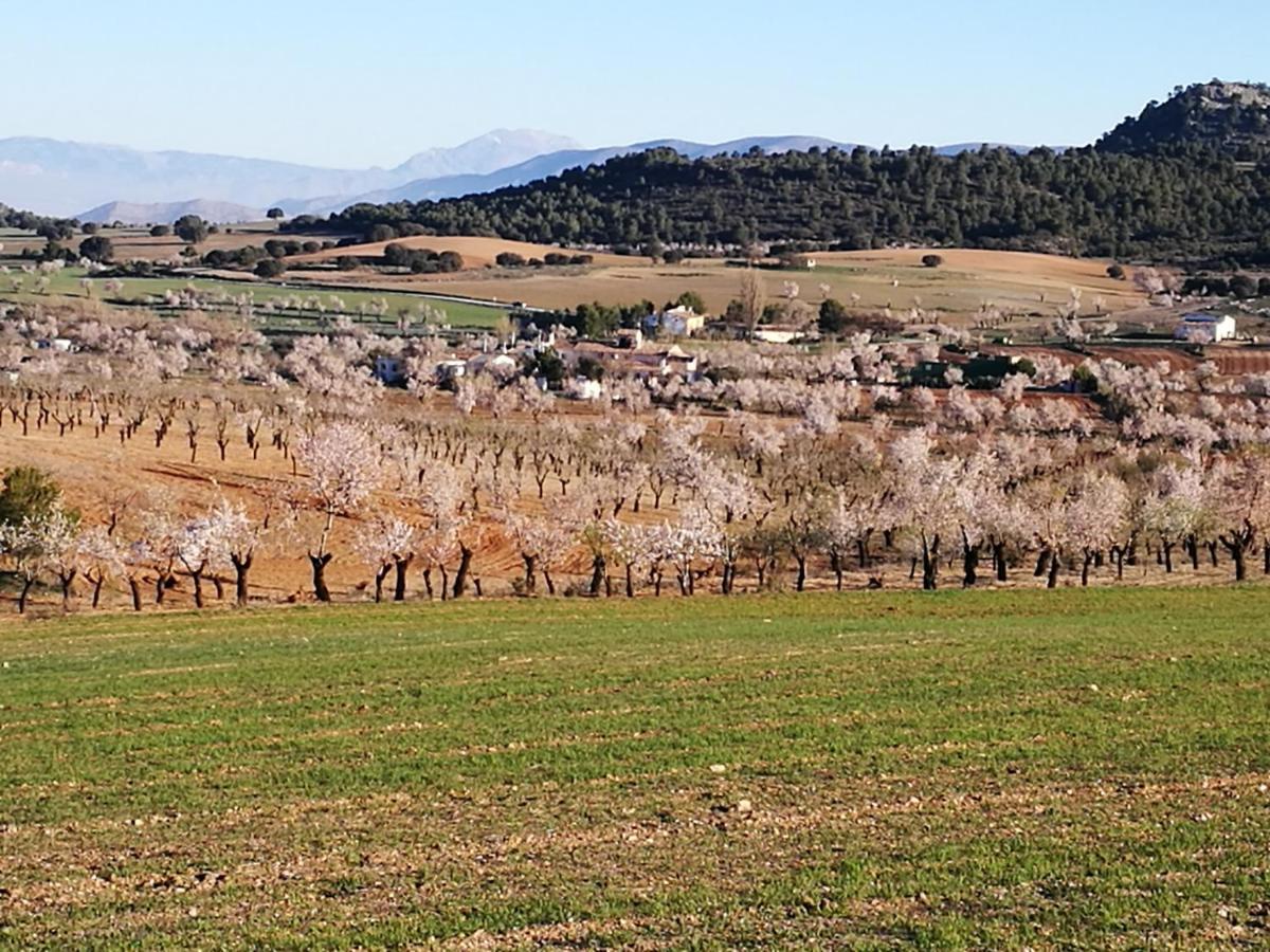Cortijo Los Soledad El Sauco Eksteriør bilde