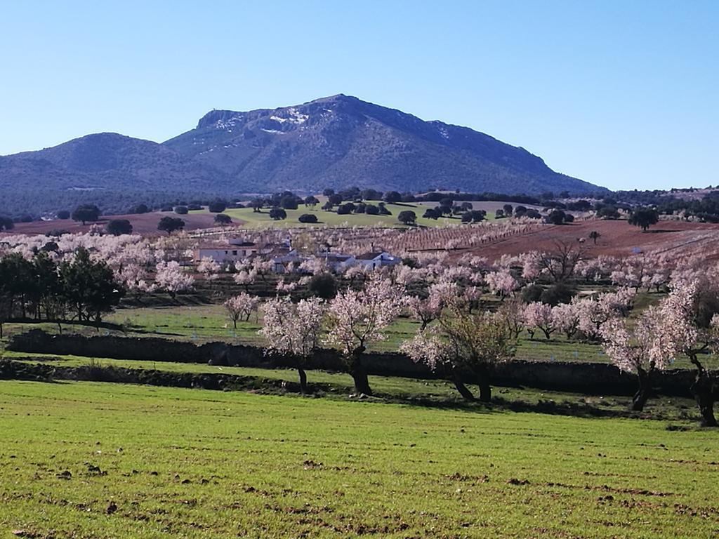 Cortijo Los Soledad El Sauco Eksteriør bilde
