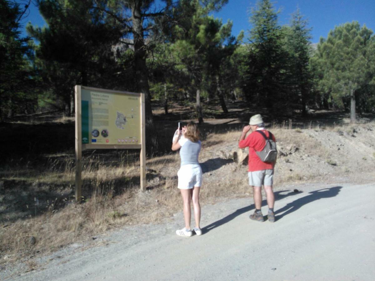 Cortijo Los Soledad El Sauco Eksteriør bilde